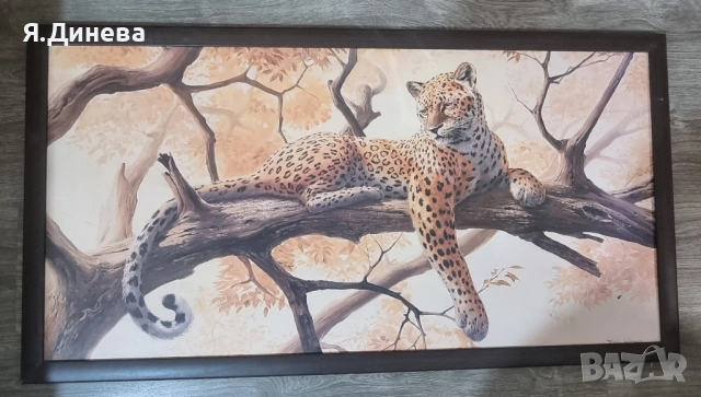 Стенни картини леопард