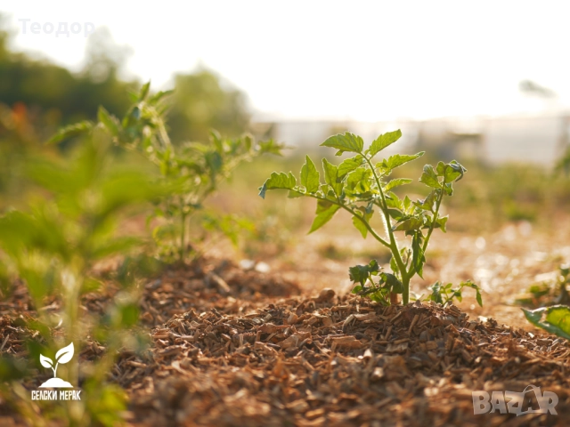 Мулч, компост и почвено подобрение в едно – дървесен чипс , снимка 9 - Тор и почвени смеси - 52252582