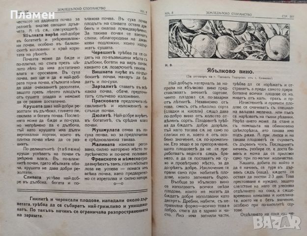 Земледелско стопанство. Месечно популярно списание Год. 4: Кн. 1-10 /1930, снимка 10 - Антикварни и старинни предмети - 46632848