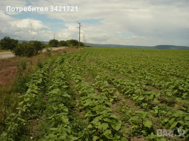 ПРОМИШЛЕН ПАРЦЕЛ ДО ВАРНЕНСКОТО ЕЗЕРО гр.Варна, снимка 11 - Парцели - 48907097