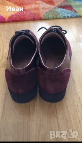 Велурени Дамски Обувки , снимка 3 - Дамски ежедневни обувки - 49984981