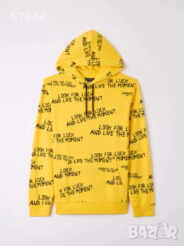 Terranova суитчър, РАЗЛИЧНИ МОДЕЛИ, мъжки / за момче / момиче, унисекс, светло сив, нов, с етикет, снимка 4 - Суичъри - 47134386