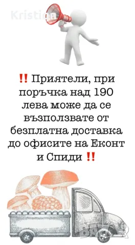 Градински орех и орехова ядка, снимка 9 - Домашни продукти - 26693342