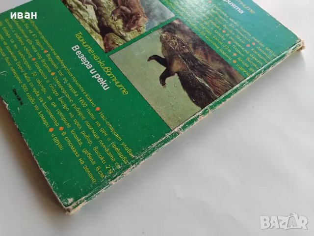 Тайните на животните том 3 - В праисторията / В езера и реки  - 1987г., снимка 8 - Енциклопедии, справочници - 47910167