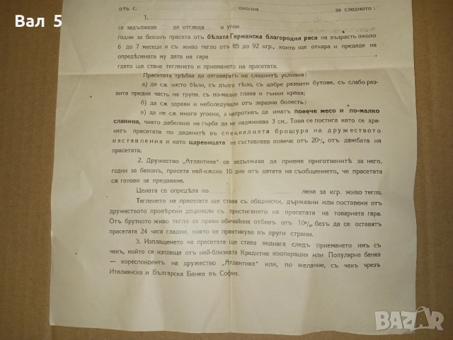 Договор за изкупуване на прасета 193... година . Интересен, снимка 4 - Антикварни и старинни предмети - 52306973