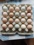 Домашни яйца от свободни кокошки , снимка 5