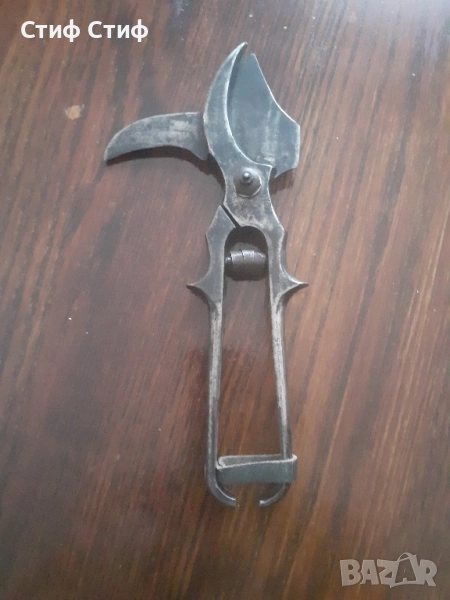 Лозарска ножица, снимка 1