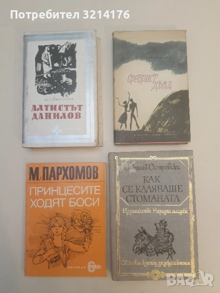Сребрист дъжд - Валерий Осипов, снимка 1