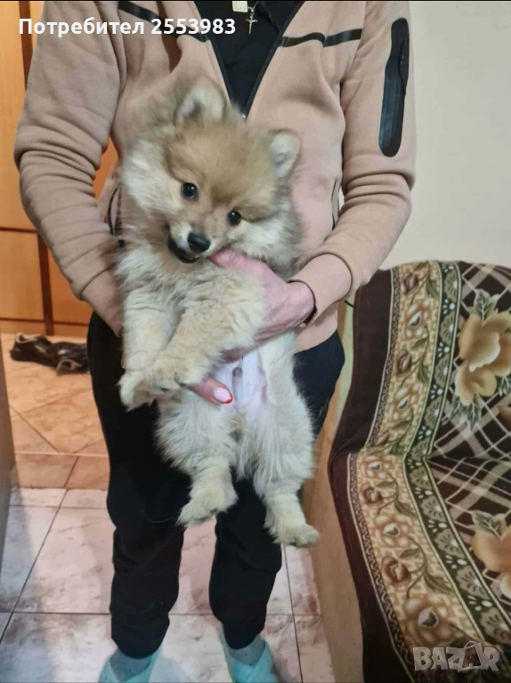 Продава се, снимка 1