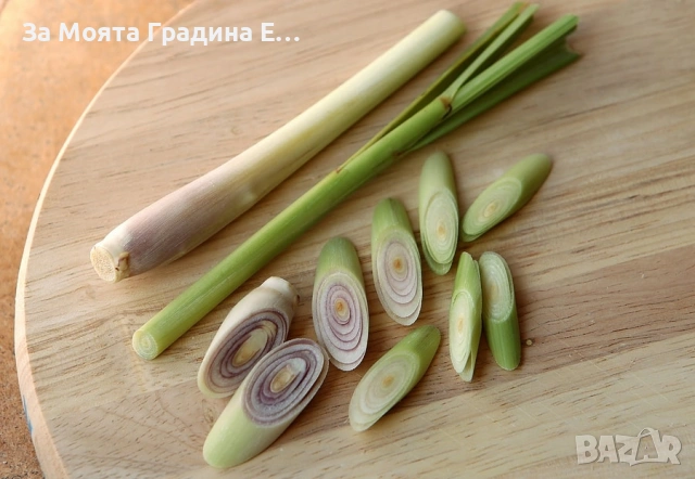 Лимонена трева за чай, настинка и т.н , снимка 7 - Градински цветя и растения - 53635002