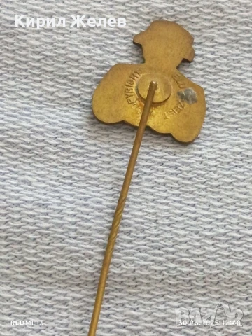 Три значки стари редки ITALIANO,SWIEBERTIF за КОЛЕКЦИЯ ДЕКОРАЦИЯ 50211, снимка 10 - Колекции - 50847066