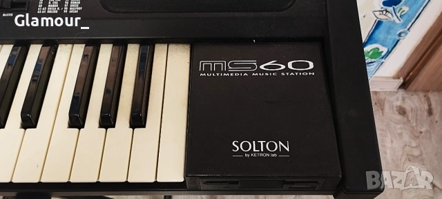 Solton MS 100, снимка 7 - Китари - 53072802