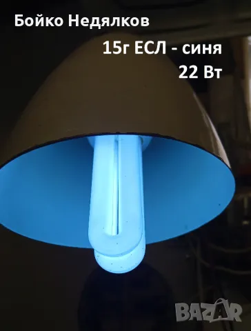 (240) Мощни ЛНС, миньон, за "луни", луминесцентни., снимка 12 - Крушки - 12785884