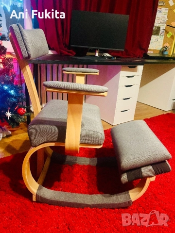 Ергономичен стол Ergo Active Pro, снимка 2 - Столове - 52652964