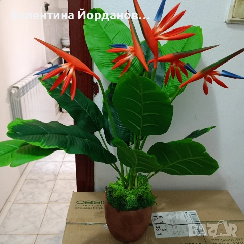 реалистична изкуствена стрелиция , снимка 2 - Изкуствени цветя - 52893079