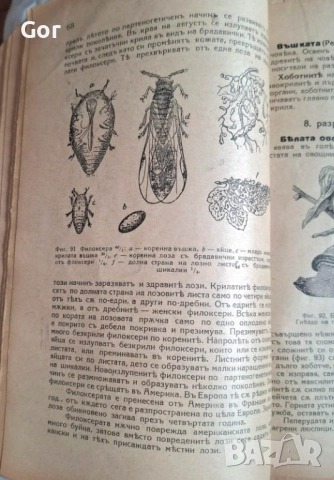 100-годишна антикварна ценност: „Зоология“ (1926) – Изд. Хр. Г. Данов, снимка 12 - Нумизматика и бонистика - 53723683