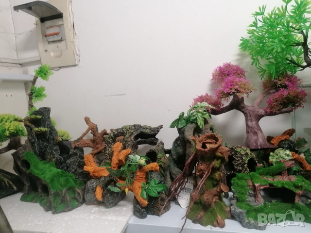 Продавам водни растения за аквариум, снимка 18 - Аквариуми - 52682599