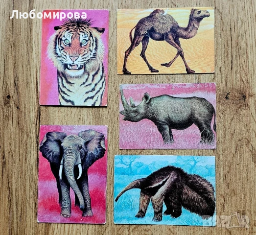 Ретро календарчета със животни/ За колекционери, снимка 7 - Колекции - 51417690