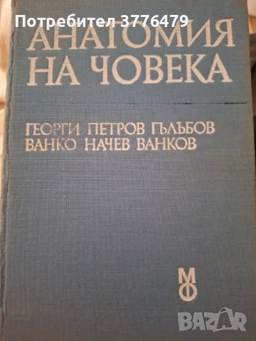 Анатомия на човека, Гълъбов, Ванков, снимка 1 - Специализирана литература - 47787325