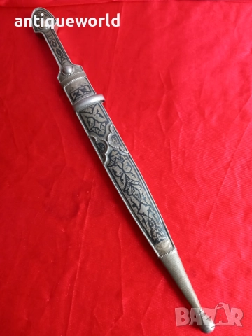 Стара Голяма Черкезка  Кавказка Кама Сребро, Ниело