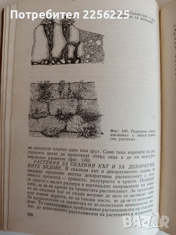 Цветя за нашия дом, снимка 2 - Специализирана литература - 52183831