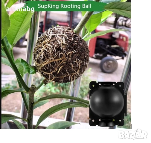 ANIMABG Комплект от топки за въздушен отвод за вкореняване на растения, 8см, 10 броя, снимка 8 - Други - 52558887