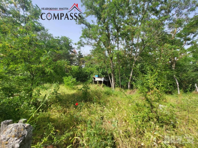 с. Изворово, Общ. Ген. Тошево, къща с двор – 9000евро!, снимка 9 - Къщи - 51853440