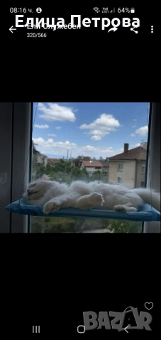 легло за котка на прозорец