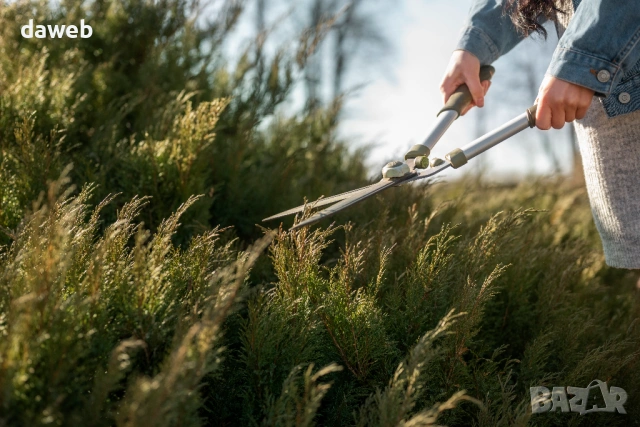 Почистване на дворове, косене на трева, рязане, изхръвляне на боклук, клони и др. Пловдив Хасково, снимка 2 - Други почистващи услуги - 52461123