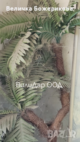 Почистване на входове , снимка 13 - Почистване на входове - 51960284