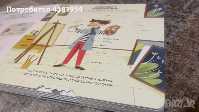 Книжки Немирната овца, Мини Мони, Птици в косите, Ученето е забавно, снимка 5 - Детски книжки - 53866673