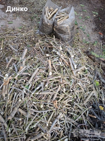 Черничеви разпалки