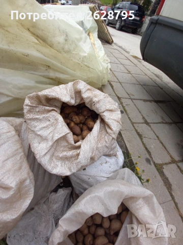 Картофи за семе и консумация, Родопски картофи, снимка 13 - Хранителни добавки - 54196858