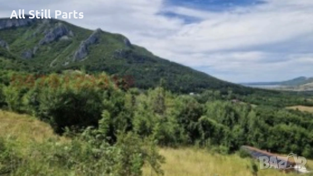 Имот в село Павлоче