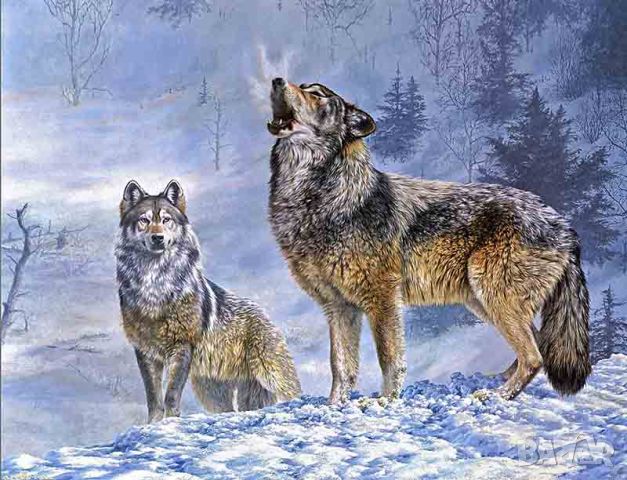 Вълци през зимата, пейзаж, картина , снимка 1 - Картини - 46043413