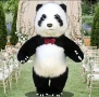 Голямата Панда , снимка 1