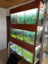 Стелаж с аквариуми , снимка 2
