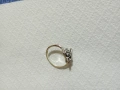 Пръстенче , снимка 1