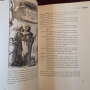 Живот през Ренесанса - портрети от епохата / Renaissance Lives. Portraits of an Age, снимка 8