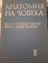 Анатомия на човека, Гълъбов, Ванков, снимка 1