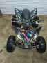 Yamaha RAPTOR 250 2010, снимка 4