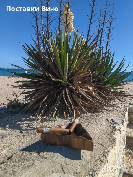 "Морски" пепелник за пури, снимка 1