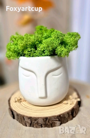 Кашпа със скандинавски мъх , снимка 2 - Арт сувенири - 52339040