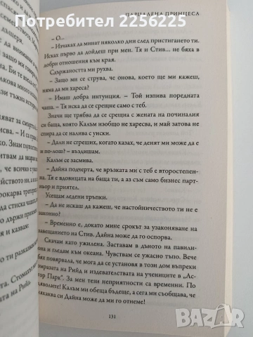Парцалената принцеса, снимка 2 - Художествена литература - 53154888