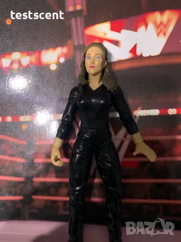 Екшън фигура WWF 1999 Stephanie McMahon Стефани МакМеън TTL WWE Jakks Titan Tron играчка WWF , снимка 2 - Колекции - 48361576