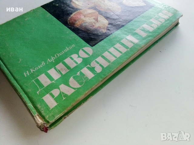 Диворастящите гъби - Н.Колев,Аф.Охапкин - 1974г., снимка 9 - Енциклопедии, справочници - 51999994