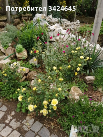 Продавам къща близо до Хасково. ДОГОВОРЕНА!, снимка 3 - Къщи - 52973030