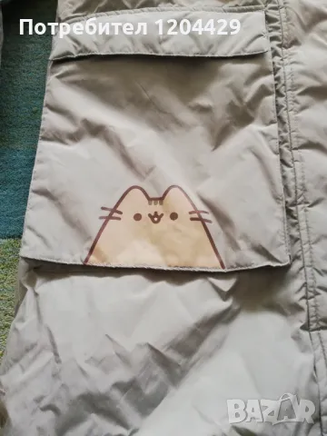 Много весело зимно яке Pusheen, 11-12 г., 10 лева, снимка 2 - Детски якета и елеци - 47094586