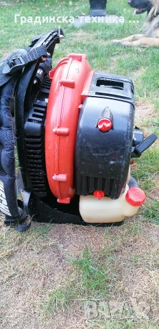 Духалка за листа , снимка 5 - Градинска техника - 53405822