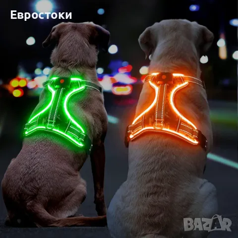 BiPawTi Светещ колан за кучета без дърпане за нощни разходки, с дръжка, акумулаторен, снимка 1 - За кучета - 48816530